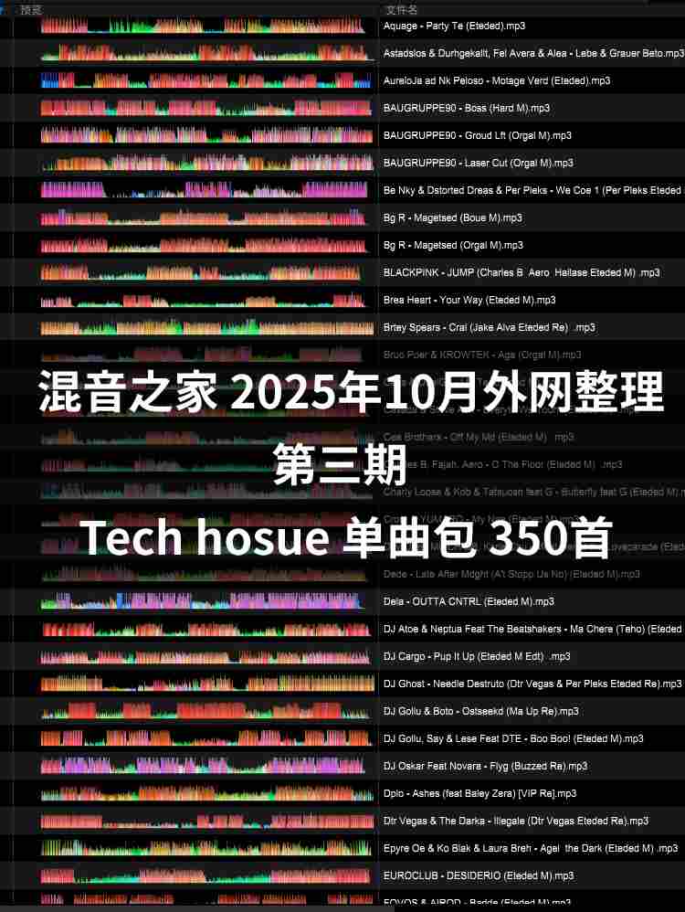 混音之家10月外网整理 第三期 tech hosue 350首 专业dj打碟资源